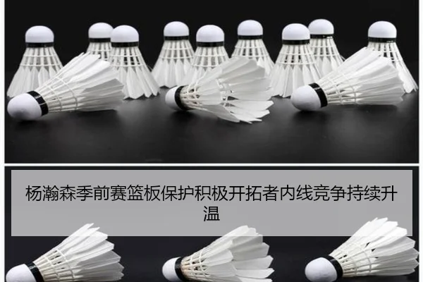 杨瀚森季前赛篮板保护积极开拓者内线竞争持续升温
